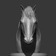 horses-head-3d-print-model-3d-model-e762960564.jpg Horses head 3D print model