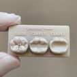 1000187478.jpg Lower first Molar training model