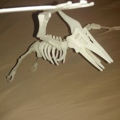 IMG_20151022_173335.jpg 3D-Datei Pterodactyl für den 3D-Druck kostenlos・Design zum 3D-Drucken zum herunterladen