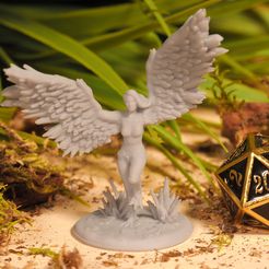 Harpy Action (1).JPG Fichier STL Pose d'action de la Harpie - Miniature de table・Design pour impression 3D à télécharger