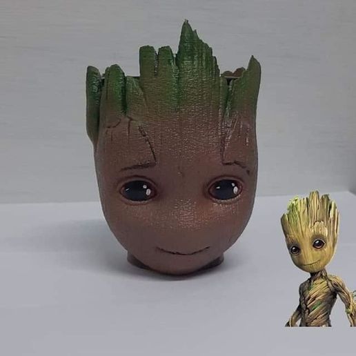 Mate Groot 3D model