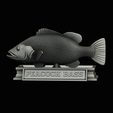 Peacock-Bass-statue-4-3-24.png FISH in motion Peacock bass (Cichla ocellaris) stone base for 3d printing