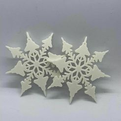405450497_325235637030521_758642179454417408_n.jpg f15 eagle snowflake ornament