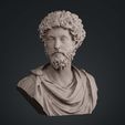 001.2.jpg Marcus Aurelius