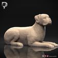 Boxer-Pose-09-Dog-3D-Print-1s.jpeg Chien Boxer Modèle imprimé en 3D Pose 09