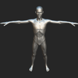 6.png Human Body Mesh In T-Pose