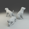 1.png Low polygon labrador 3D print model  in three poses