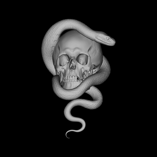 The Serpent's Embrace Skull with Snake 3D print Model