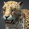 00WWW.jpg DOWNLOAD Cheetah 3d model - animated for blender-fbx-unity-maya-unreal-c4d-3ds max - 3D printing Cheetah - LEOPARD - RAPTOR - PREDATOR - CAT - FELINE