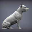American-Staffordshire-Terrier4.jpg American Staffordshire Terrier 3D print model