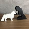 WhatsApp-Image-2023-01-06-at-19.46.45-1.jpeg Girl and her Border Collie (straight hair) for 3D printer or laser cut
