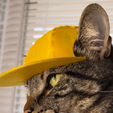 IMG_3978.png Baseball Cat Cap