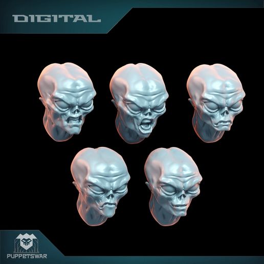alien-2.jpg Grey Alien Heads