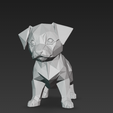 lqT@-shsh@-2026-04-06-224710.png Little dog
