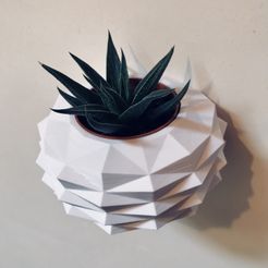 IMG_1283.jpg Файл STL ANANAS・Модель для загрузки и печати в формате 3D