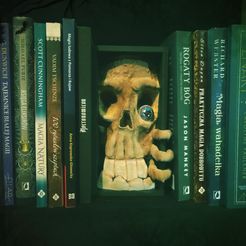 2023-02-14-16-25-29-879.jpg STL file Skull Book Nook Decor・3D printable model to download