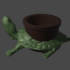 1tortuga.png turtle pot