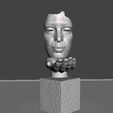 2.jpg Face&Hand