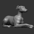 ZBrush-Document-1.jpg Dog sitting pose 3d printable model