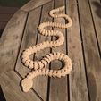 Serpiente y cascabel