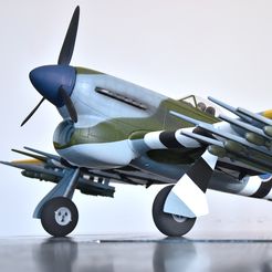 DSC_3423s2.jpg Free 3D file Spinner for FMS 1100mm Tempest・3D printable object to download