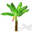 2.jpg BANANA TREE 3D MODEL BANANA TREE