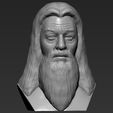 12.jpg Файл 3D Dumbledore from Harry Potter bust 3D printing ready stl obj・Модель для загрузки и печати в формате 3D