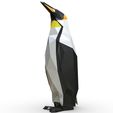 7.jpg king penguin