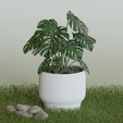 005.png Nature's Nest: The Perfect Flower Pot