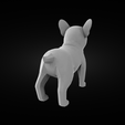 buldog-render3.png French Bulldog baby