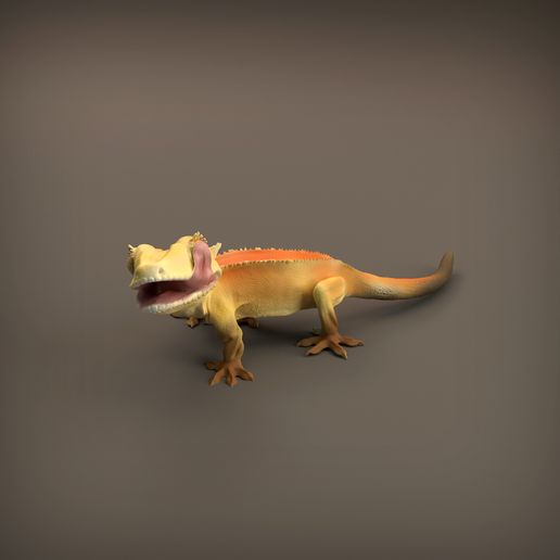 Crested Gecko 3D model