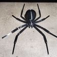 La araña viuda negra