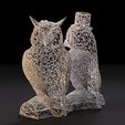 10002.jpg Owl Couple
