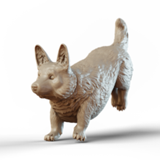 Corgi - leaping v2 3D model