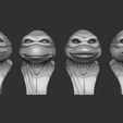 2.jpg TURTLES 1990  BUSTS FOR 3D PRINT