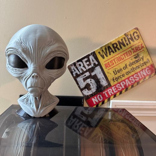 IMG_4871.jpg 👽 Classic Grey Alien Bust C - Detailed  Model 🛸
