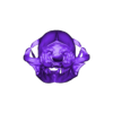 Britain cat skull decimated.OBJ Кошачий череп