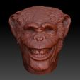 jggjgjgh.jpg Smiling Chimp Head