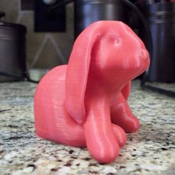 100_2609.JPG Free OBJ file No Supports Needed Ducky The Lop Eared Bunny Remix・3D printer design to download