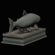golden-dorado-statue-box-1-35.png fish golden dorado / Salminus brasiliensis with storage space / for 3d printing