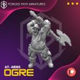 resize-ogre-at-arms-6.jpg Ogre at Atms