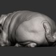 pug-for-3d-printing-3d-model-bfb94d7ab9.jpg pug is sleeping 3D print model