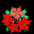 20231107_094605.jpg Mini Christmas Wreath and centerpiece
