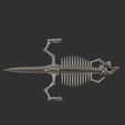 微信图片_20230509122920.jpg Fully Articulated Dinosaur Skeleton Model