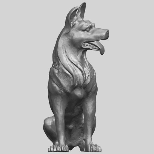 12_TDA0307_Dog_WolfhoundA09.png Dog - Wolfhound