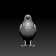 crow_lowpoly2.jpg Crow - lowpoly crow for game unity3d- ue6 - bird crow 3d model for 3d print