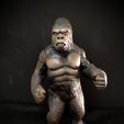 IMG_20221117_112313.jpg King Kong (1976)