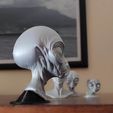 1741429383232.jpg 👽 Classic Grey Alien Bust C - Detailed  Model 🛸