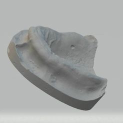 up2.JPG Totally edentulous maxillary model