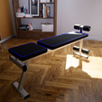 Image20_000.png Weight bench (1:12, 1:16, 1:1)
